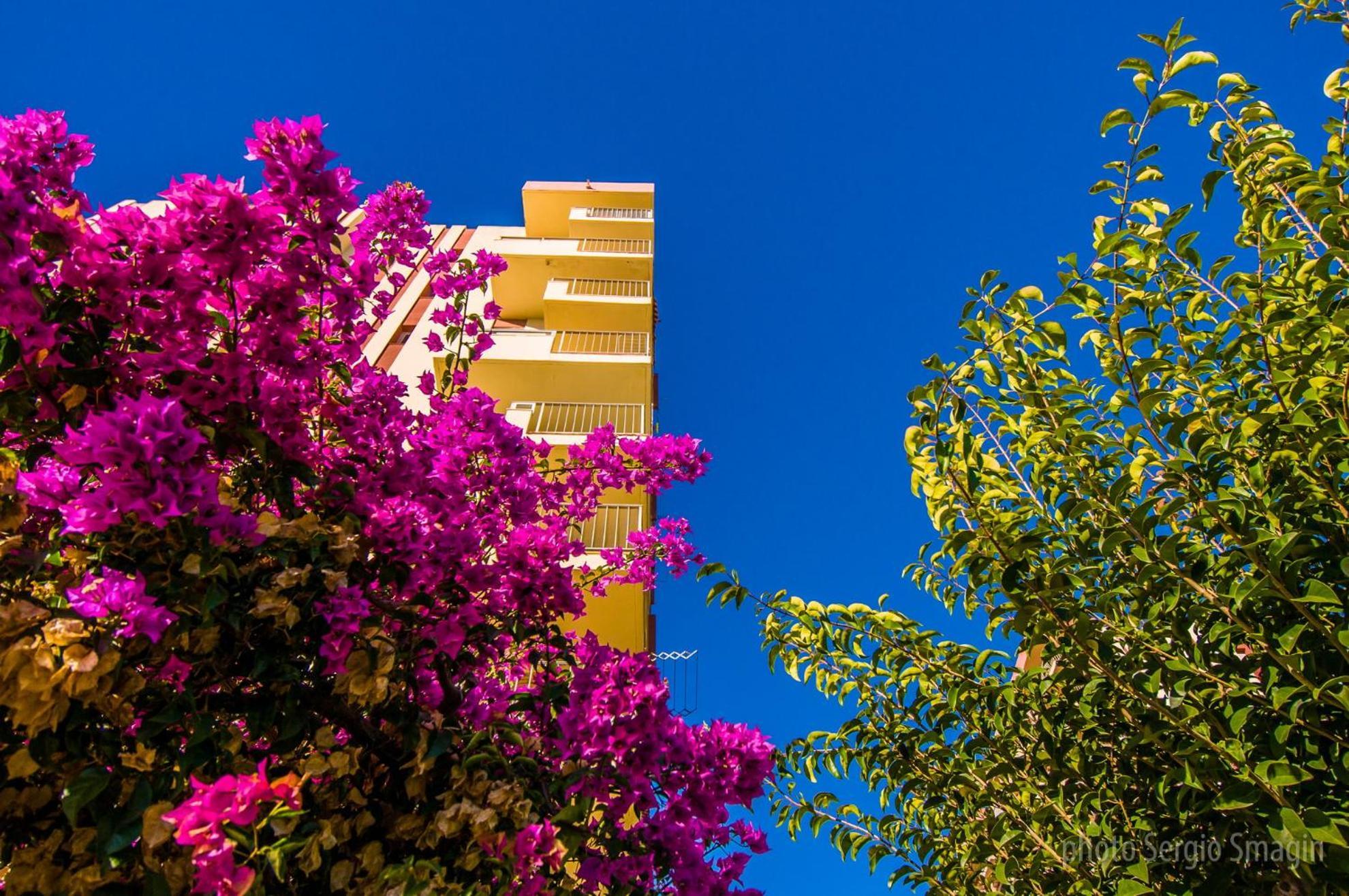 908 Minerva Apartamentos - Vistas Al Mar - Piscina Y Playa Benalmádena Εξωτερικό φωτογραφία